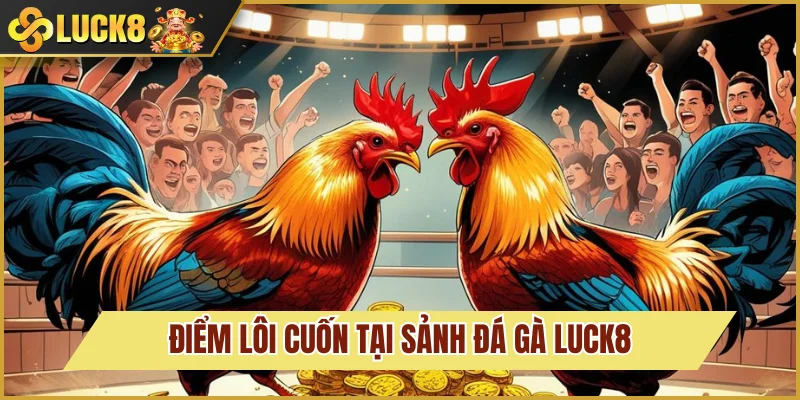 Điều khiến sảnh đá gà được mê mẩn
